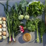 GI Acres Full Season Week 1 June 3, 2024

Rhubarb
Comb Honey
Kohlrabi
Radishes
Garlic Scapes
Herbs: Dill, Taragon
Salad Mix
Green Onions
Eggs